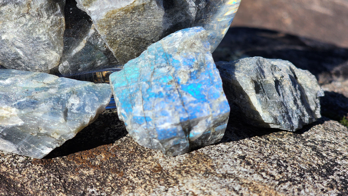 Labradorite Crystal Shards