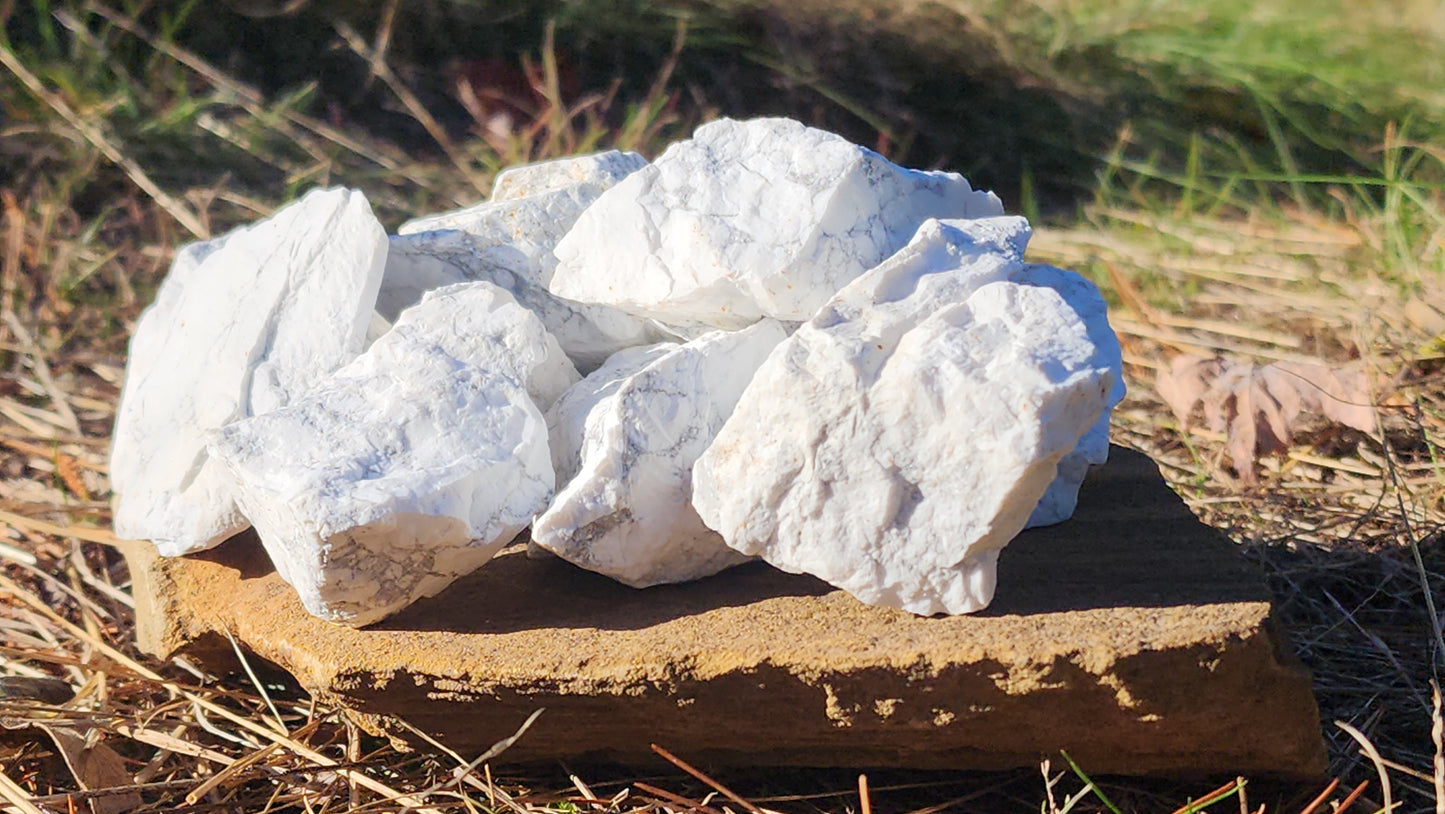 Howlite Crystal Shards