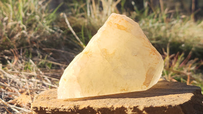 Sulfur Quartz Lamp