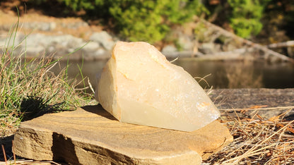 Sulfur Quartz Lamp