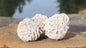 Desert Rose Selenite