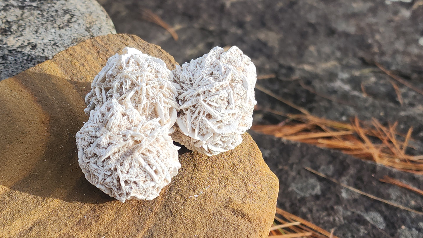 Desert Rose Selenite