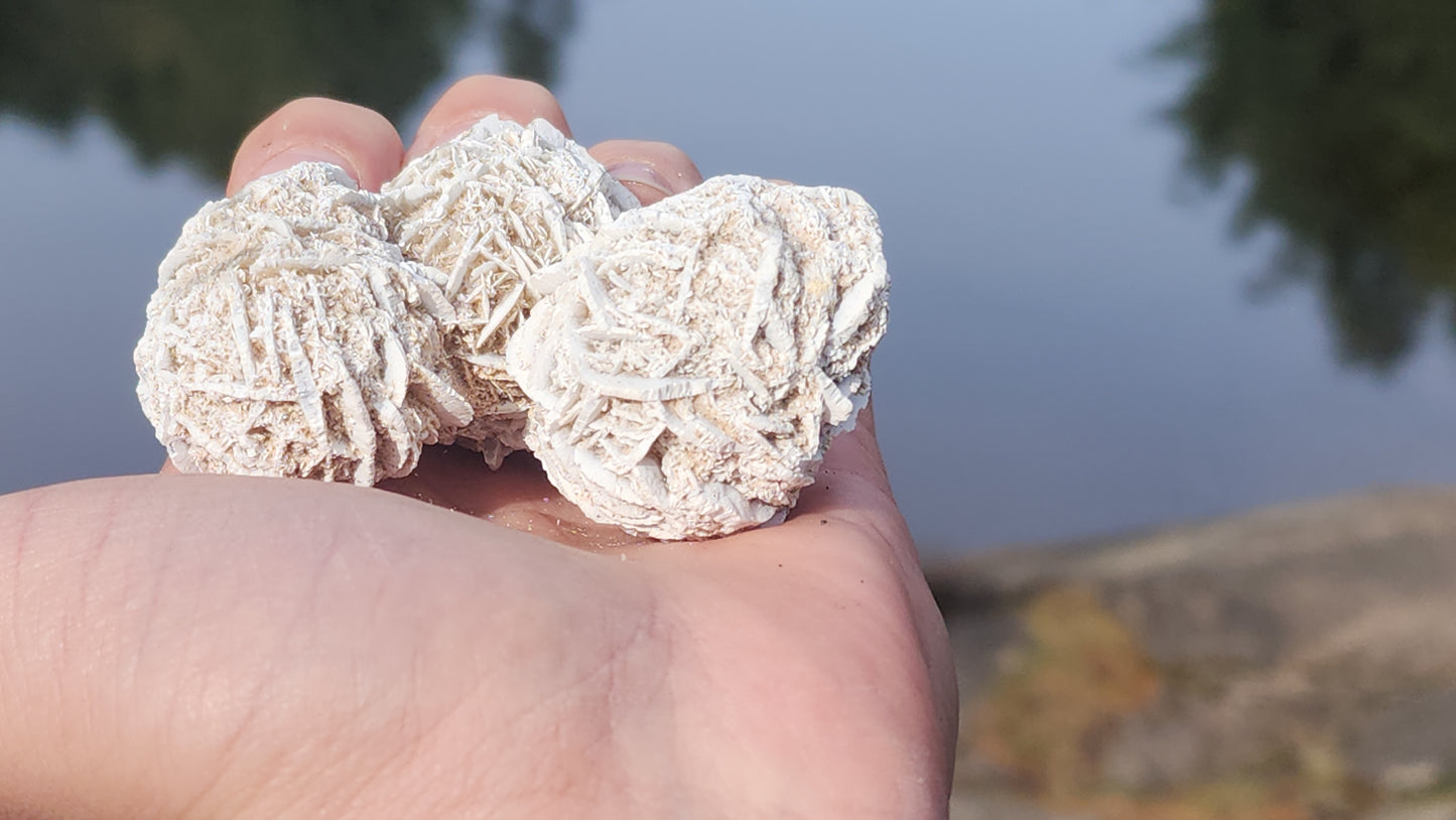 Desert Rose Selenite