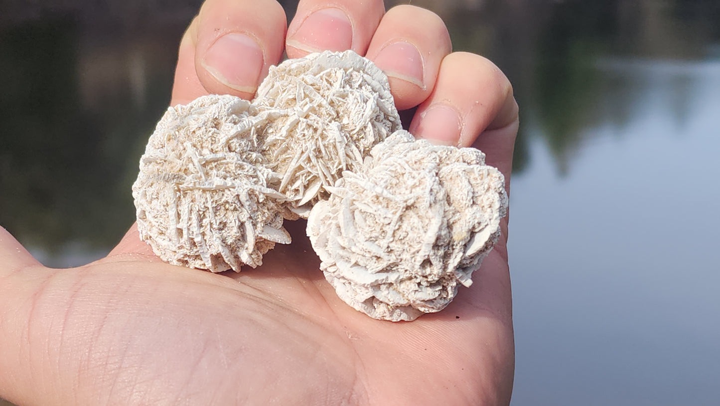 Desert Rose Selenite