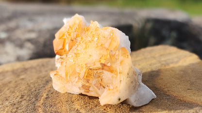 Nova Scotia Sunshine Quartz Cluster - Radiant One (Limited Collection)