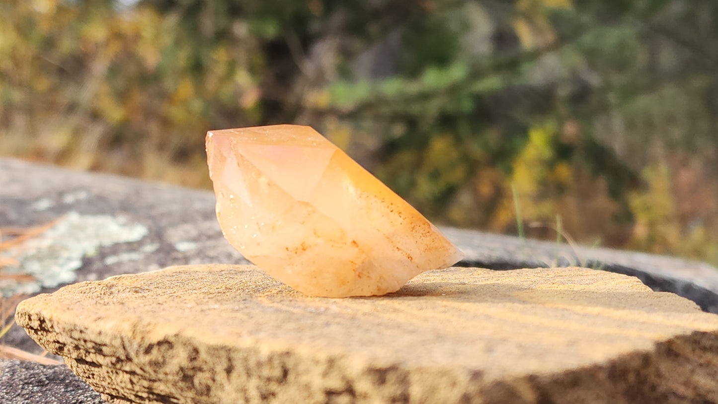 Nova Scotia Sunshine Quartz Cluster - Luminary One (Limited Collection)