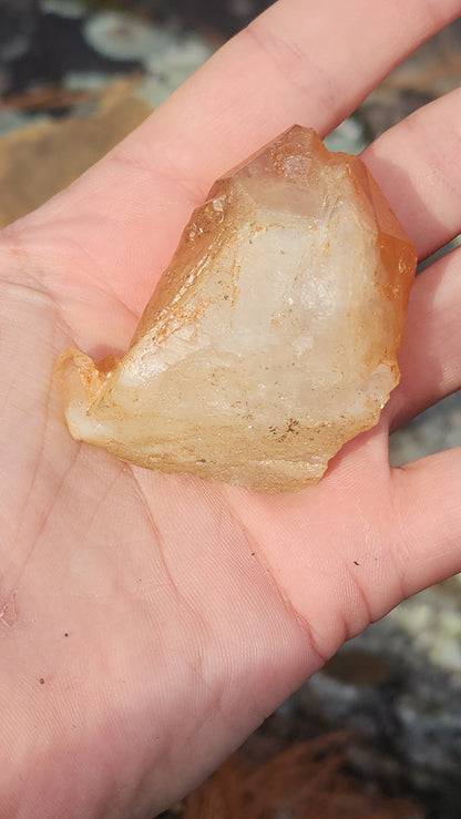 Nova Scotia Sunshine Quartz Cluster - Luminary One (Limited Collection)