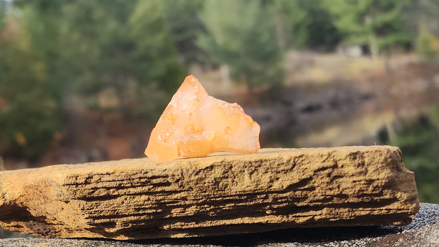 Nova Scotia Sunshine Quartz Cluster - Ember One (Limited Collection)