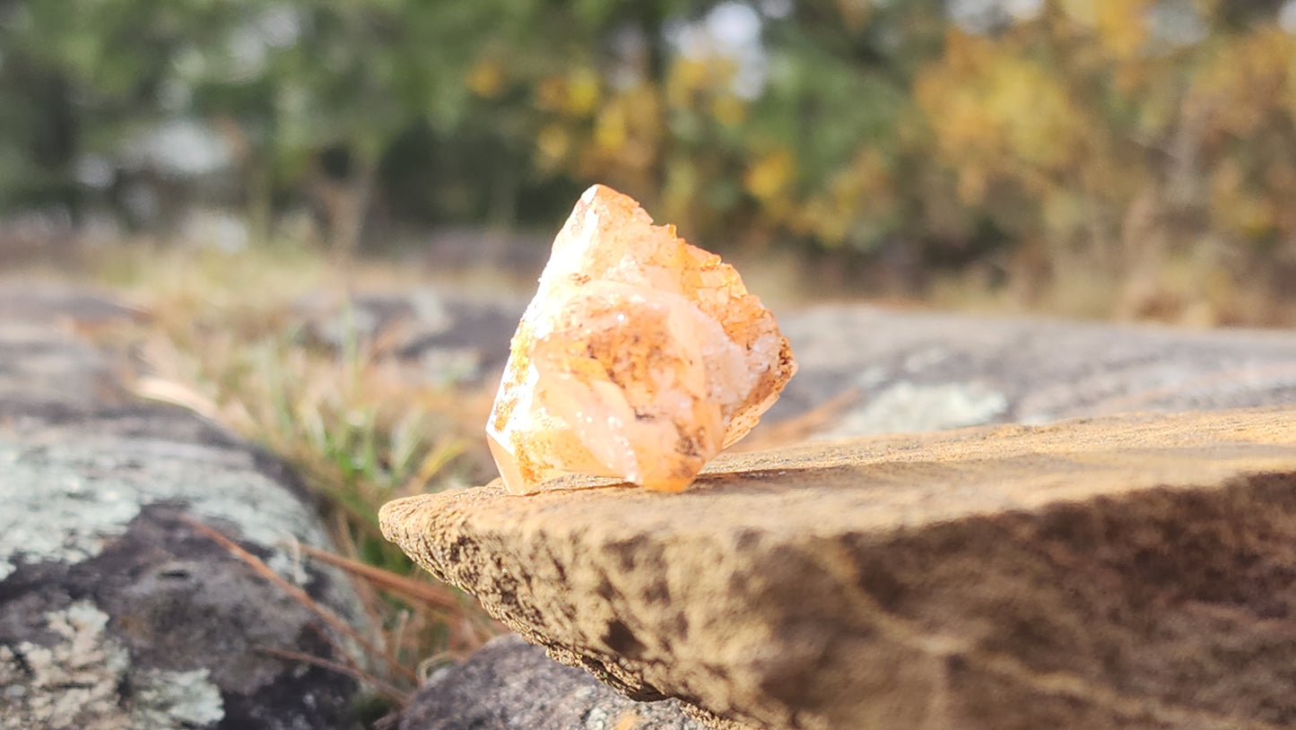 Nova Scotia Sunshine Quartz Cluster - Ember One (Limited Collection)