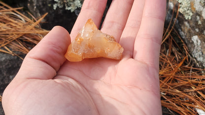 Nova Scotia Sunshine Quartz Cluster - Ember One (Limited Collection)