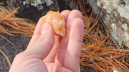 Nova Scotia Sunshine Quartz Cluster - Ember One (Limited Collection)