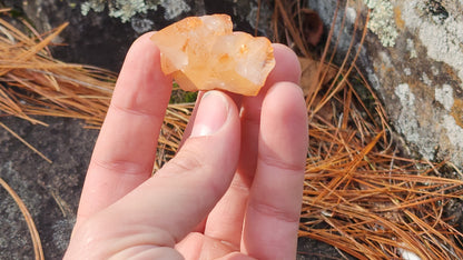 Nova Scotia Sunshine Quartz Cluster - Ember One (Limited Collection)