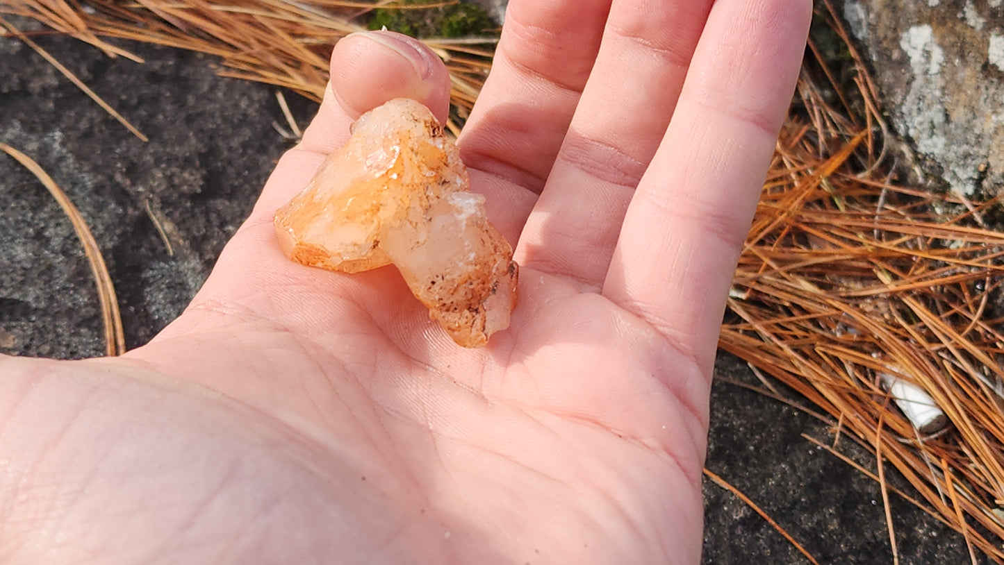 Nova Scotia Sunshine Quartz Cluster - Ember One (Limited Collection)