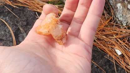 Nova Scotia Sunshine Quartz Cluster - Ember One (Limited Collection)