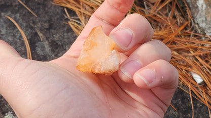 Nova Scotia Sunshine Quartz Cluster - Ember One (Limited Collection)