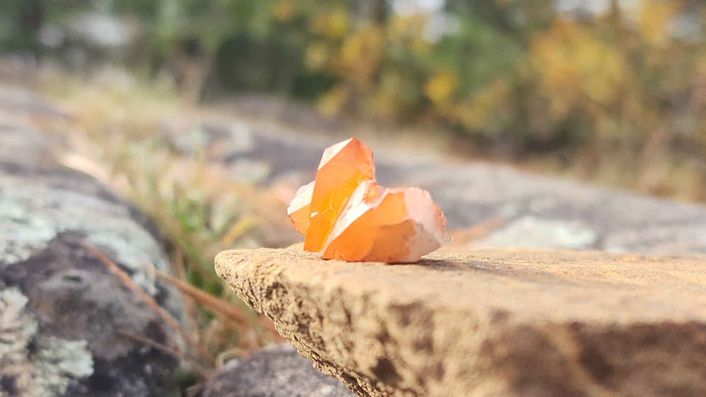 Nova Scotia Sunshine Quartz Cluster - Aurora One (Limited Collection)