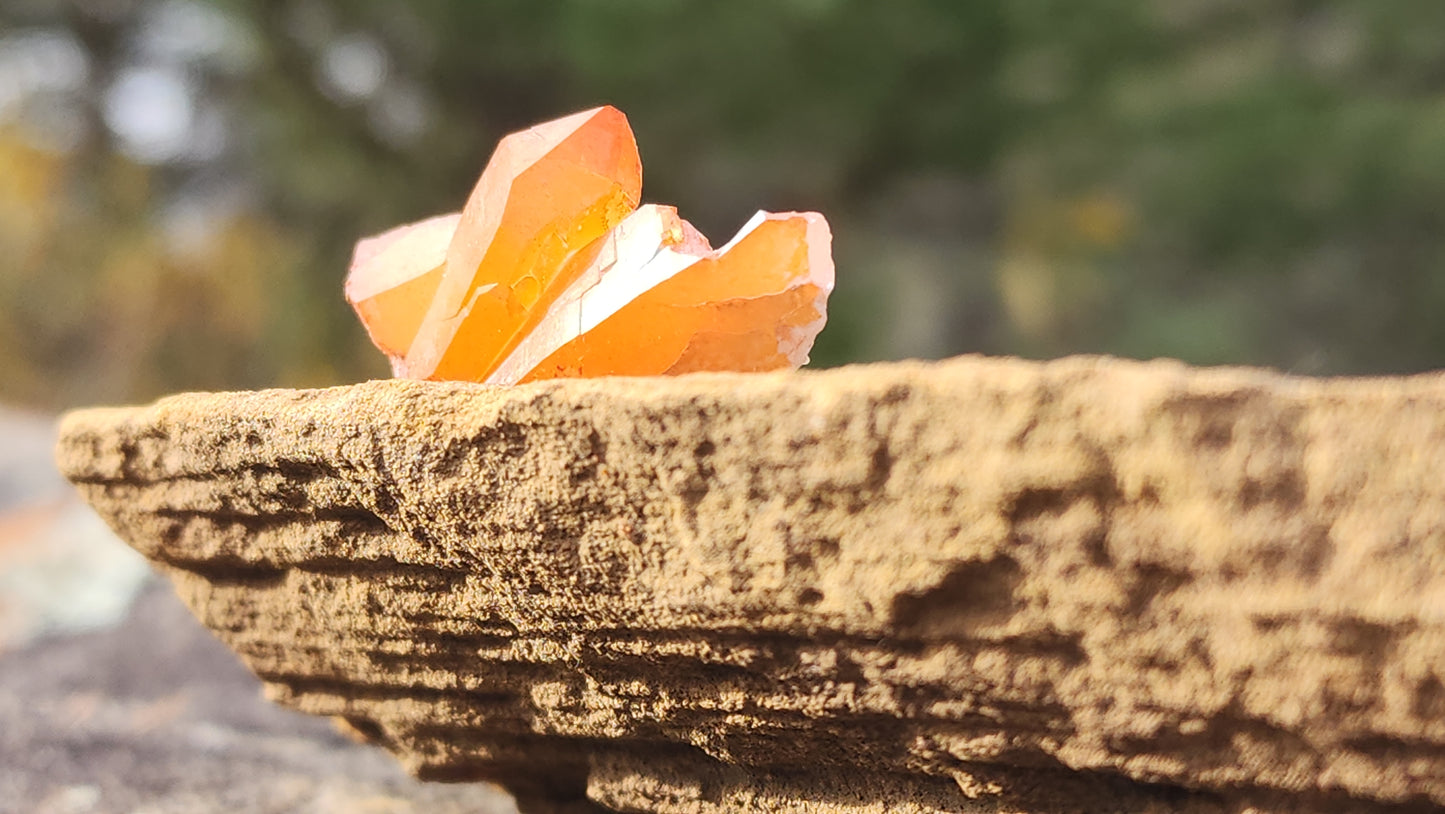 Nova Scotia Sunshine Quartz Cluster - Aurora One (Limited Collection)