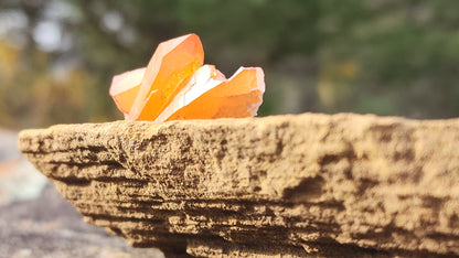 Nova Scotia Sunshine Quartz Cluster - Aurora One (Limited Collection)