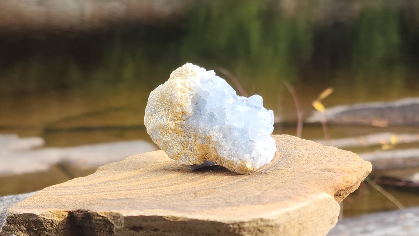 Celestite Clusters