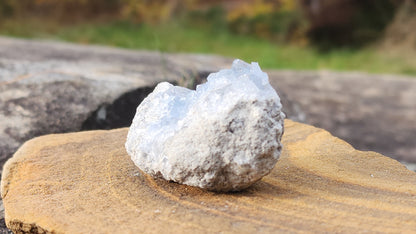 Celestite Clusters