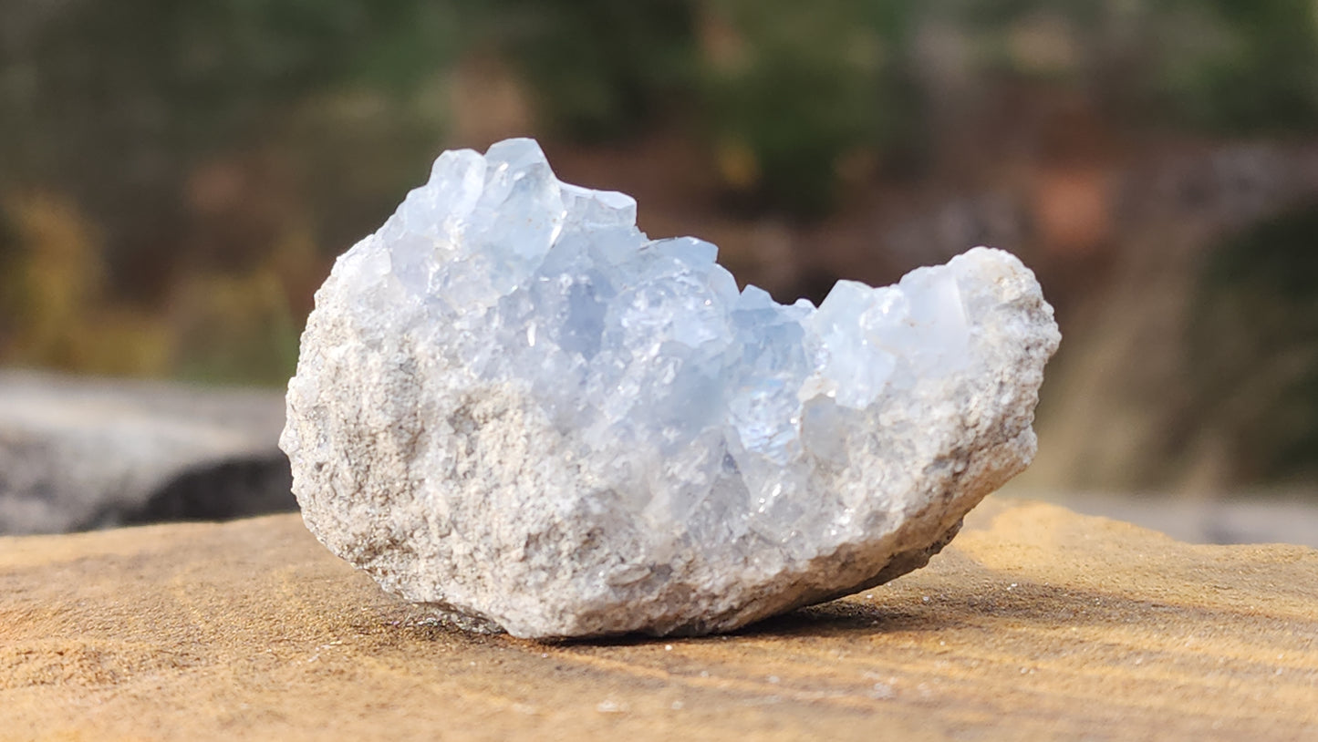 Celestite Clusters