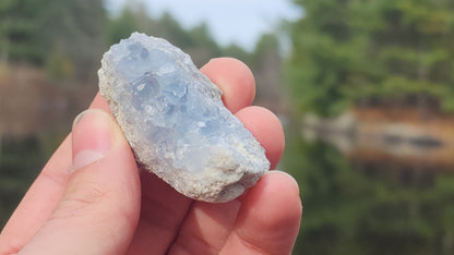 Celestite Clusters