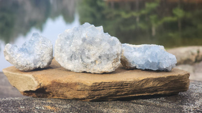 Celestite Clusters