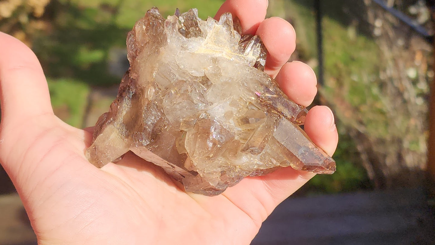 Smoky Quartz Clusters