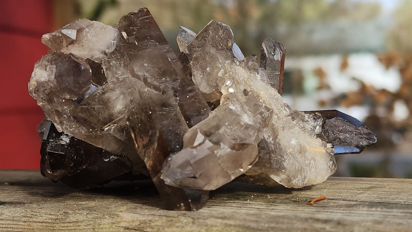 Smoky Quartz Clusters