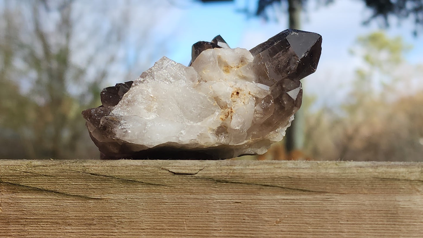 Smoky Quartz Clusters