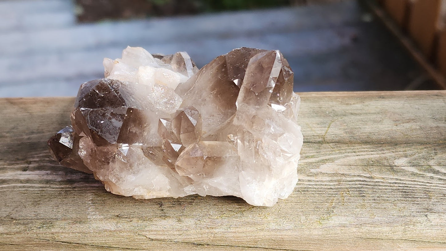 Smoky Quartz Clusters