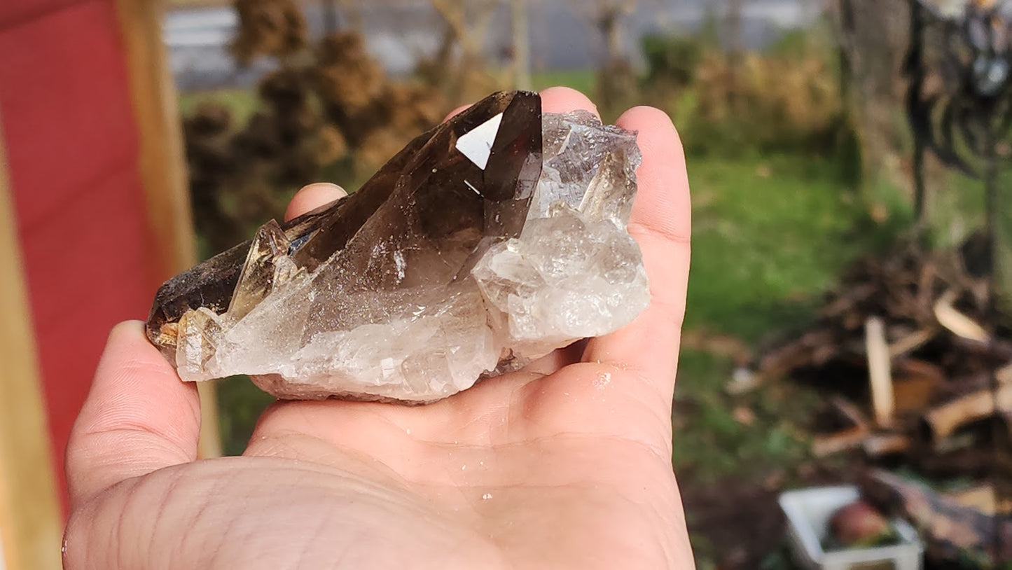 Smoky Quartz Clusters