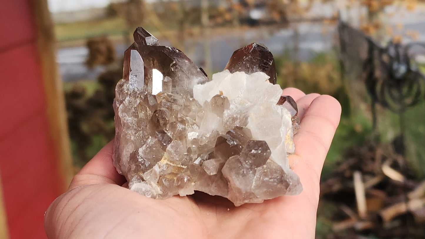 Smoky Quartz Clusters