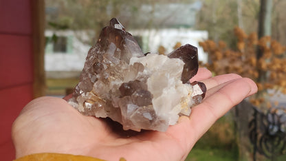 Smoky Quartz Clusters