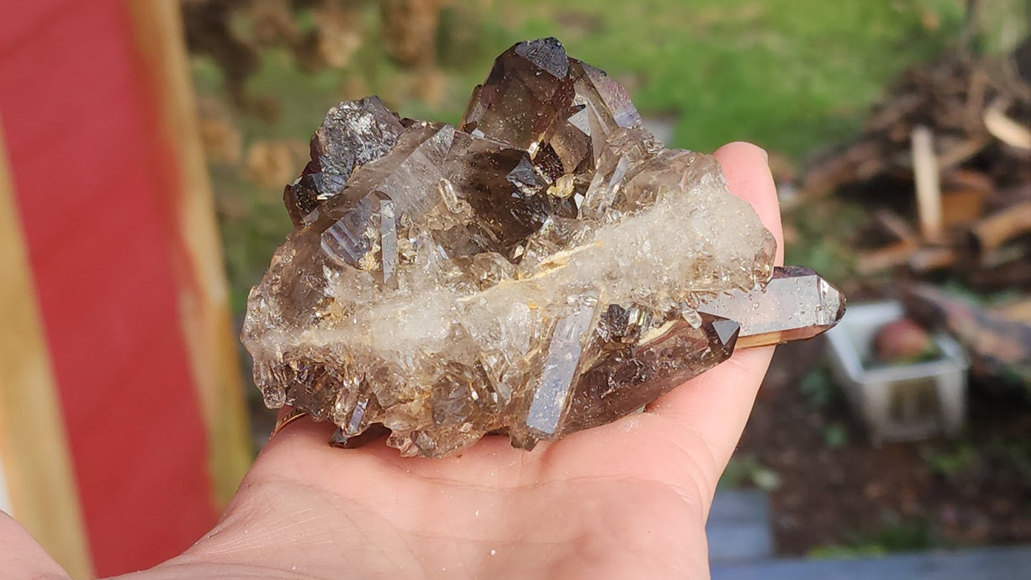 Smoky Quartz Clusters