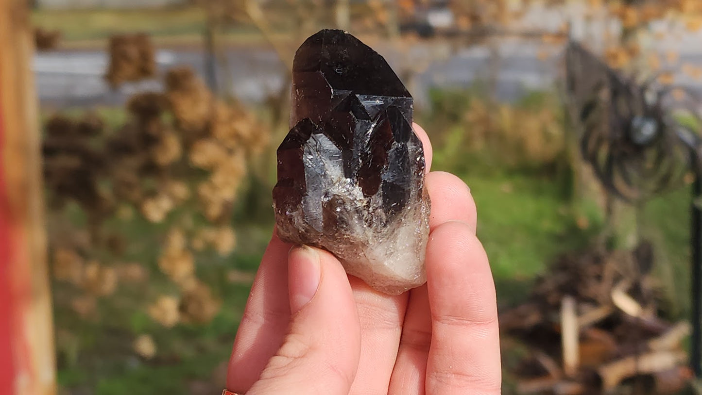 Smoky Quartz Clusters