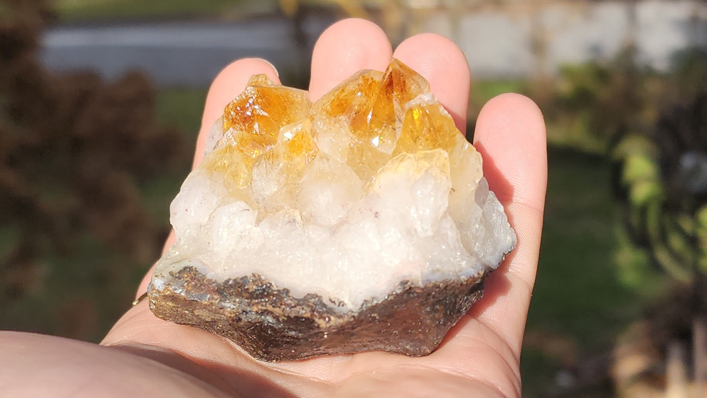 Citrine Clusters