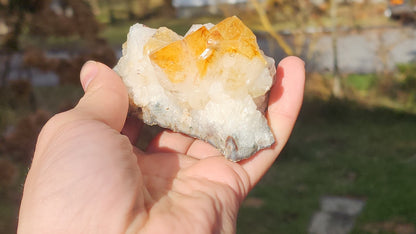 Citrine Clusters