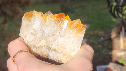 Citrine Clusters