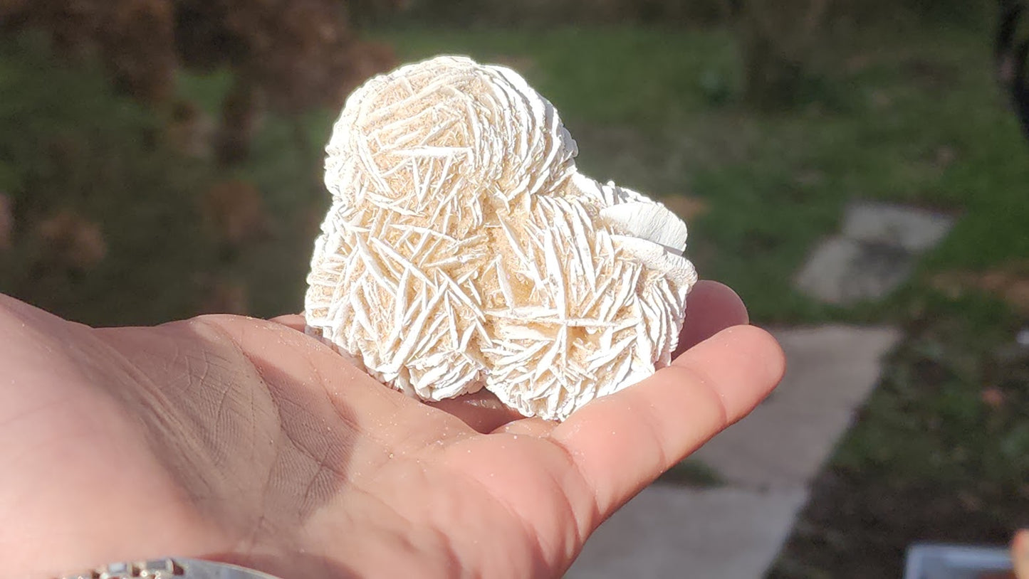 Desert Rose Selenite