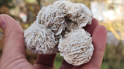 Desert Rose Selenite